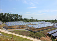 6-12m Span Solar Power Mounting Systems , Industrial Aluminium Solar Panel Mounting System