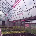 Open Ground Steel Frame Greenhouse Solar Mounting Systems