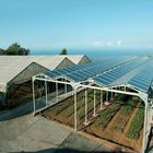 Galvanized Anodized Solar PV Greenhouse With Shading System