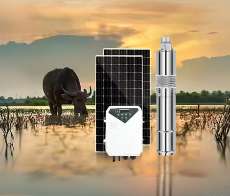 Giá tốt. Năng lượng đầu vào tối ưu 60V-90V máy bơm nước mặt trời DC với loại bộ điều khiển MPPT và dòng chảy tối đa 3,8m3/h trực tuyến