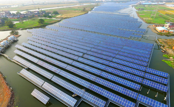 Giá tốt. Câu cá - Hệ thống Pv mặt đất bổ sung ánh sáng mặt trời bổ sung Cuộc sống lâu dài trực tuyến