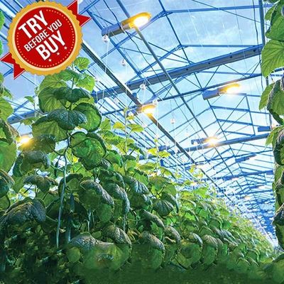 Giá tốt. Khung thép CE Gắn Hệ thống năng lượng mặt trời trong nhà kính mùa đông Cấu trúc hỗ trợ Mô-đun phim thiếc cho không gian xanh trực tuyến