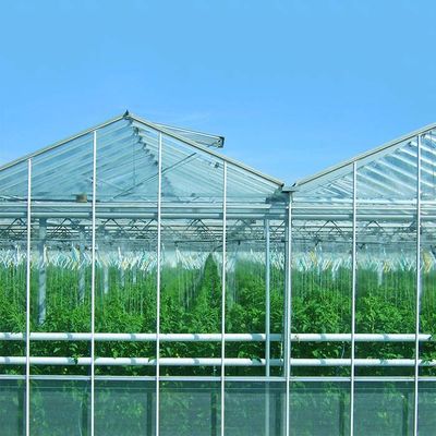 Giá tốt. Hệ thống năng lượng mặt trời quang điện gắn trên mặt đất cho trang trại thực vật trực tuyến