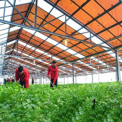 Giá tốt. Khung thép mạ kẽm nóng Cấu trúc hỗ trợ mô-đun màng mỏng cho nhà kính quang điện trực tuyến