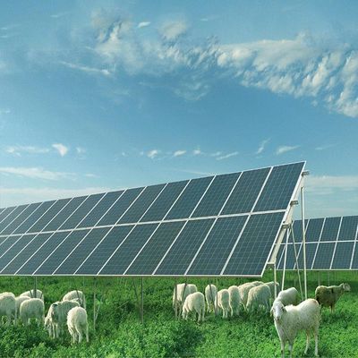 Giá tốt. Cấu trúc hệ thống lắp đặt mặt đất bằng kim loại cơ bản mạ kẽm trực tuyến