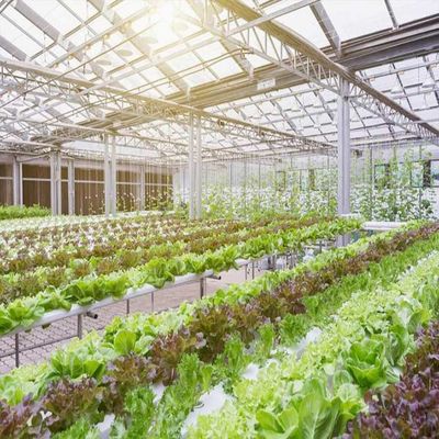 Giá tốt. 10-60 ° Hệ thống năng lượng mặt trời trong nhà kính theo chiều dọc Ngang 36,9m / S Tải trọng gió trực tuyến