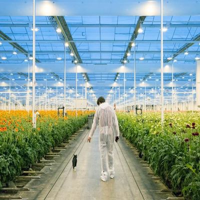 Giá tốt. Hệ thống năng lượng mặt trời nhà kính bằng thép bền vững với ánh sáng có thể điều chỉnh trực tuyến