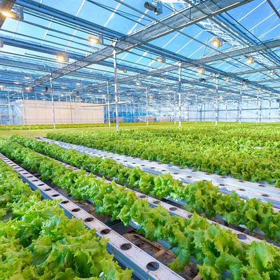 Giá tốt. Chiều cao có thể điều chỉnh thông minh Nhà kính nhẹ Hệ thống năng lượng mặt trời Khung cấu trúc gắn kết nông nghiệp quang điện trực tuyến