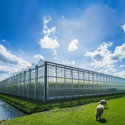 Giá tốt. Hệ thống năng lượng mặt trời nhà kính 500KW BIPV đa năng trực tuyến