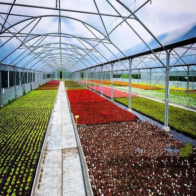 Giá tốt. Hệ thống năng lượng mặt trời nhà kính khung Q345B chống ăn mòn axit trực tuyến