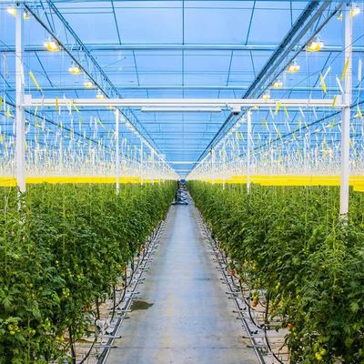Giá tốt. Khung thép mạ kẽm nông nghiệp Nhà kính PV năng lượng mặt trời trực tuyến