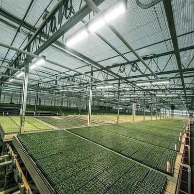 Giá tốt. Nhà kính cung cấp năng lượng mặt trời cho nông nghiệp A Khung ngoài trời trực tuyến