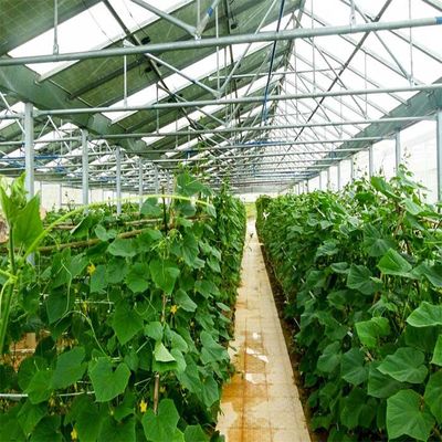 Giá tốt. Nhà kính PV năng lượng mặt trời mạ kẽm Anodized với hệ thống che nắng trực tuyến
