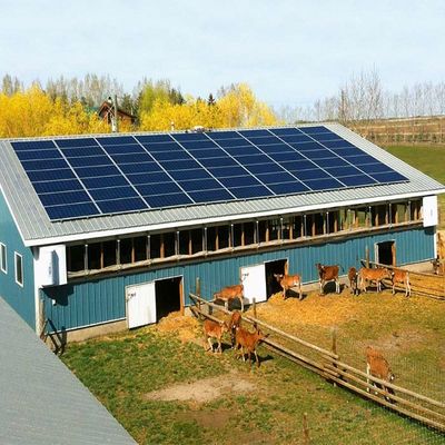 Giá tốt. Hệ thống năng lượng mặt trời gắn trên mặt đất mạ kẽm cho nhà kính trực tuyến