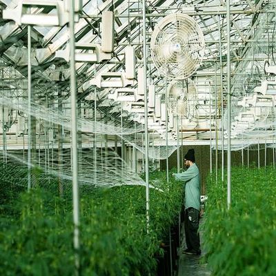 Giá tốt. Cấu trúc lắp đặt năng lượng mặt trời bằng thép không gỉ mạ kẽm trực tuyến