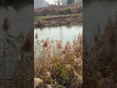 Máy bơm nước giếng sâu 3 inch DC với bộ điều khiển MPPT